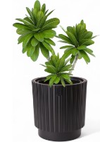 Ghiveci Form Plastic Mika 40cm Black (5280-084) imaginea #2 — magazin online Desire.md