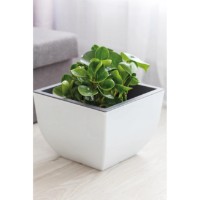 Ghiveci Form Plastic Muna 50cm White (3350-011) imaginea #3 — magazin online Desire.md