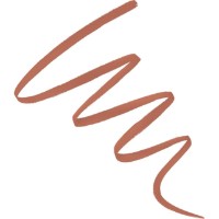 Contur de buze Max Factor Lip Shader Lip Liner 010 Nude Lines imaginea #2 — magazin online Desire.md