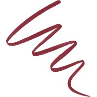 Contur de buze Max Factor Lip Shader Lip Liner 050 Berry Frame imaginea #2 — magazin online Desire.md