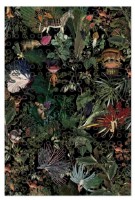 Шаль Moooi Menagerie of Ext An 132x285cm Raven (239559) фото №2 — интернет-магазин Desire.md