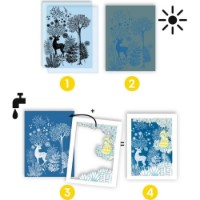 Set pentru creatie Djeco Cyanotypes: Au Clair De La Lune (DJ09342) imaginea #3 — magazin online Desire.md