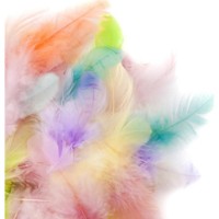 Material pentru artizanat DPCraft Feathers (CEPI-103)