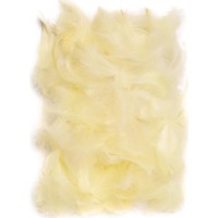 Material pentru artizanat DPCraft Feathers Beige (CEPI-016)
