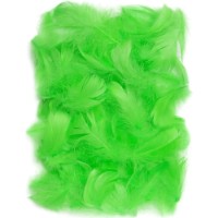 Material pentru artizanat DPCraft Feathers Green (CEPI-014)