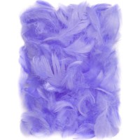 Material pentru artizanat DPCraft Feathers Lilac (CEPI-019)