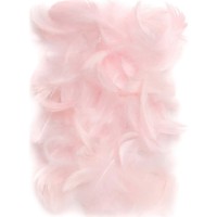 Material pentru artizanat DPCraft Feathers Pink (CEPI-018)