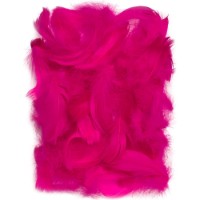 Material pentru artizanat DPCraft Feathers Raspberry (CEPI-020)