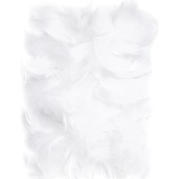 Material pentru artizanat DPCraft Feathers White (CEPI-012)