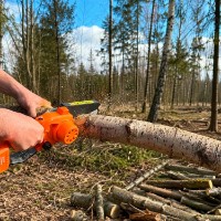 Набор садового инструмента TehnoWorker VOR83301 фото №7 — интернет-магазин Desire.md