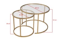 Set măsuţe cafea Hanah Home Gold-Transparent 60 42 imaginea #7 — magazin online Desire.md