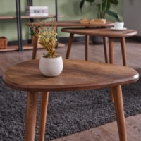 Набор столиков Hanah Home Alvin Walnut фото №3 — интернет-магазин Desire.md