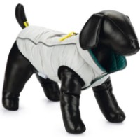 Geacă pentru câini Beeztees Maly Light Grey/Green 32cm (766572)