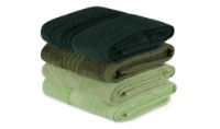 Set prosoape Trendy Rainbow 4pcs Green (GTR008485) imaginea #1 — magazin online Desire.md