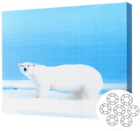 Mozaic cu diamante Art Gallery Premium Polar Bear 40x50cm (GA79329)