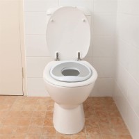 Детское сиденье для унитаза DreamBaby (G6001) фото №3 — интернет-магазин Desire.md
