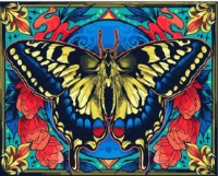 Tablou pe numere Colora Butterfly 40x50cm (GX44697)