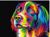 Tablou pe numere Colora Dog 30x40cm (EX5251)
