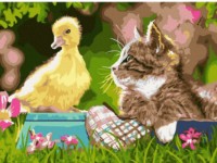 Tablou pe numere Colora Duckling 30x40cm (EX5227-YW)