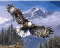 Tablou pe numere Colora Eagle 40x50cm (GX7134)