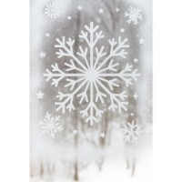 Șablon New World Snowflake (S1A) imaginea #2 — magazin online Desire.md
