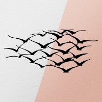 Panou decorativ Wallity Herd Of Birds imaginea #5 — magazin online Desire.md