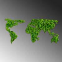 Panou decorativ Wallity World Map imaginea #5 — magazin online Desire.md