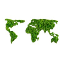 Panou decorativ Wallity World Map imaginea #7 — magazin online Desire.md