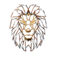 Panou decorativ Wallity Lion 1 imaginea #6 — magazin online Desire.md