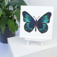 Set de decorare Rosa 3D Butterfly 3 (N0003516) imaginea #4 — magazin online Desire.md