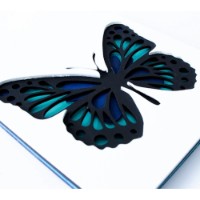 Set de decorare Rosa 3D Butterfly 3 (N0003516) imaginea #2 — magazin online Desire.md