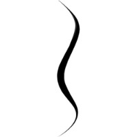 Eyeliner pentru ochi Bourjois Liner Pinceau Tubing Black N1  imaginea #2 — magazin online Desire.md