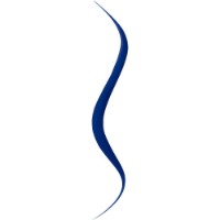 Eyeliner pentru ochi Bourjois Liner Pinceau Tubing Blue N3 imaginea #2 — magazin online Desire.md