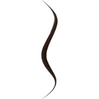 Eyeliner pentru ochi Bourjois Liner Pinceau Tubing Brown N2 imaginea #2 — magazin online Desire.md