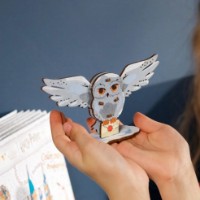 Деревянная 3D-раскраска Ugears Hedwig Owl фото №5 — интернет-магазин Desire.md