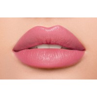Ruj de buze Divage Lipstick Praline №02 imaginea #3 — magazin online Desire.md
