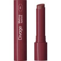 Ruj de buze Divage Melting Lipstick №06 imaginea #1 — magazin online Desire.md