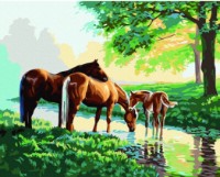 Tablou pe numere Colora Horses 40x50cm (G154)