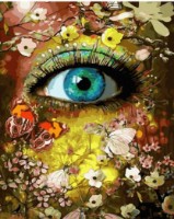 Tablou pe numere Colora Look 40x50cm (GX44420)
