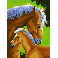 Картина по номерам Colora Love of A Horse 30x40cm (EX5009)