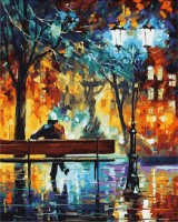 Tablou pe numere Colora Night in the Park 40x50cm (G359)