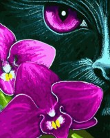 Картина по номерам Colora Panther 40x50cm (GX31620)