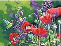 Tablou pe numere Colora Poppy Field 30x40cm (EX5868)