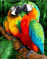 Tablou pe numere Colora Two Parrots 40x50cm (GX40056)