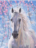 Tablou pe numere Colora White Horse 30x40cm (EX5692)
