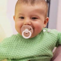 Suzeta BIBS Studio Colour Latex 0m+ 2pcs Blush Woodchuck Mix (11028102) imaginea #3 — magazin online Desire.md