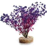 Decor pentru acvarii și terarii Record Aqua Friend Wild Plant 21x16x7cm (8680.5)
