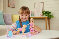 Păpușa Barbie Family And Friends (JJB46) imaginea #4 — magazin online Desire.md