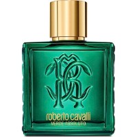 Парфюм для него Roberto Cavalli Verde Assoluto EDP 100ml