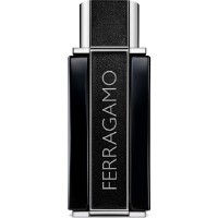 Parfum pentru el Salvatore Ferragamo Sublime Leather EDP 100ml imaginea #1 — magazin online Desire.md